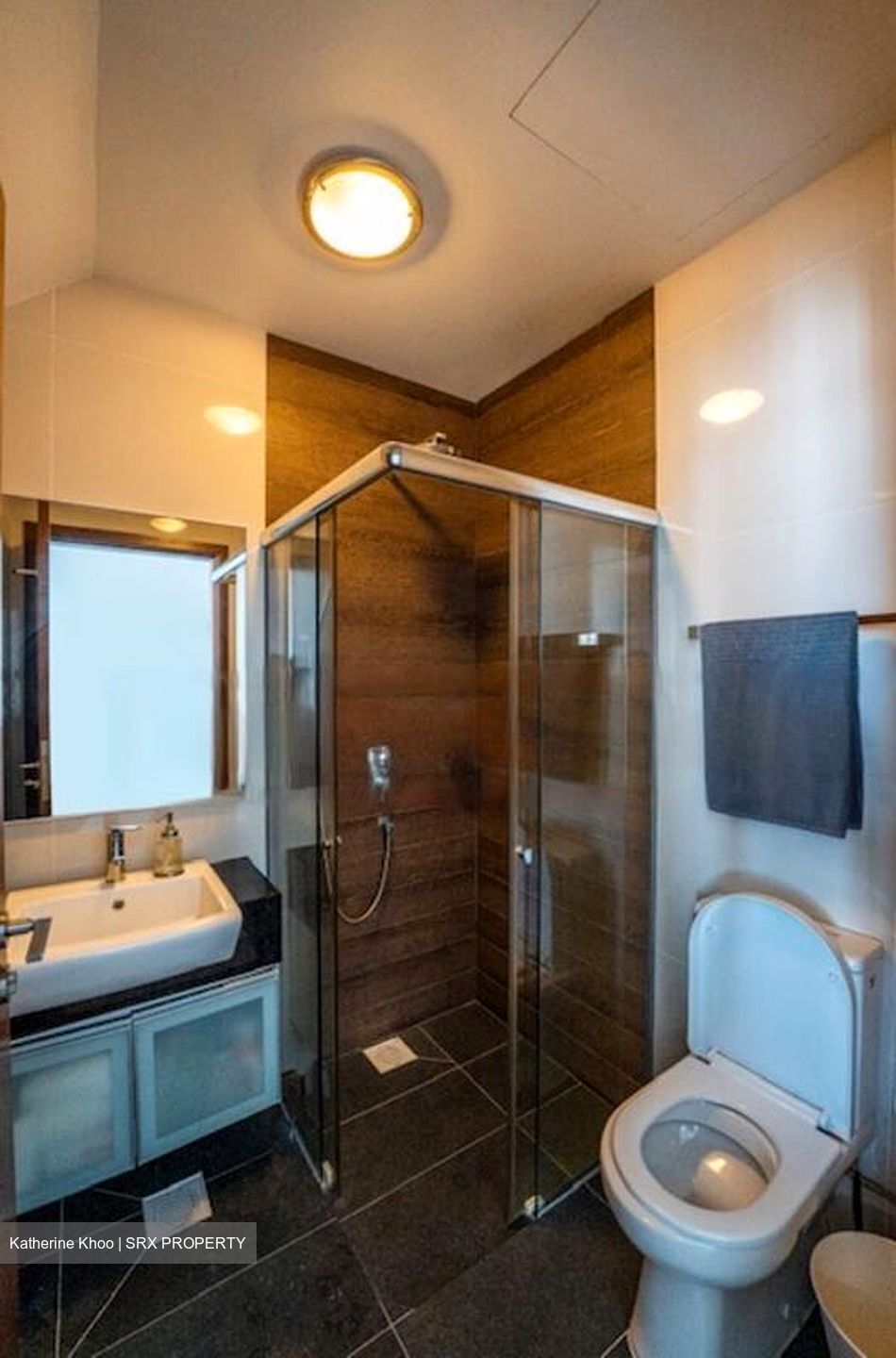 Prestige Heights (D12), Apartment #507678091